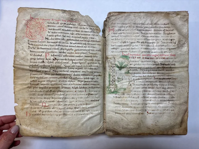 Restauro su pergamena medievale